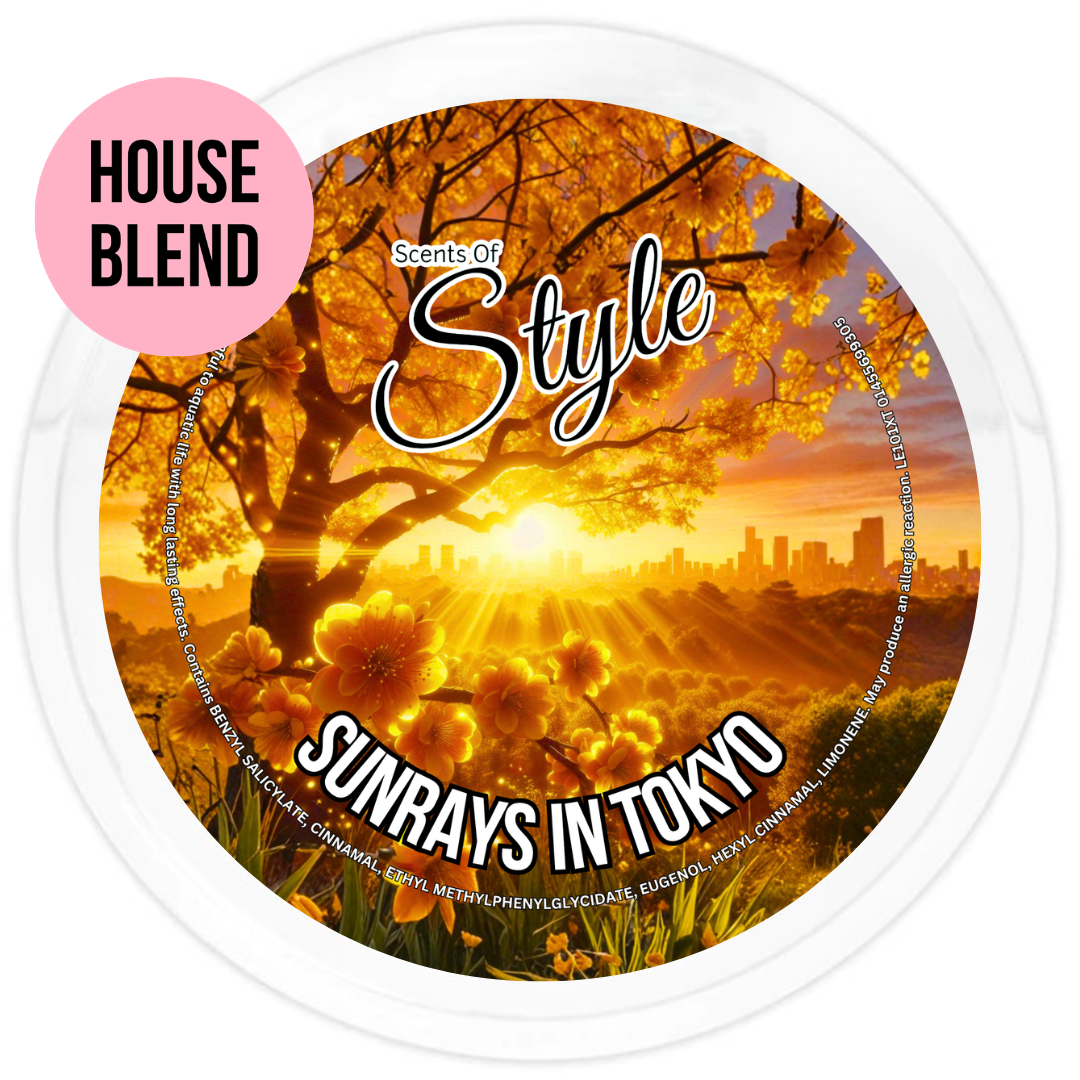 Sunrays In Tokyo 2oz Segment Pot