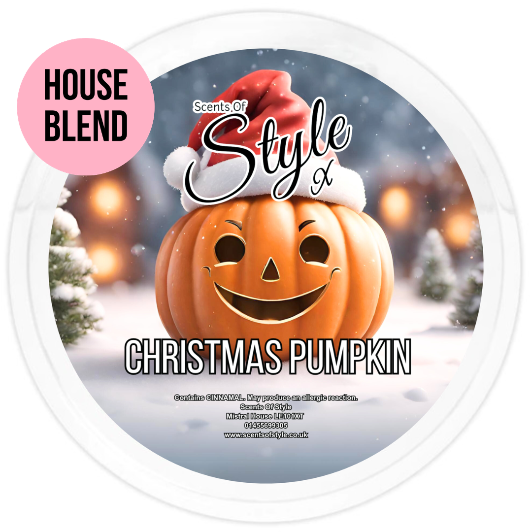 Christmas Pumpkin 2oz Segment Pot