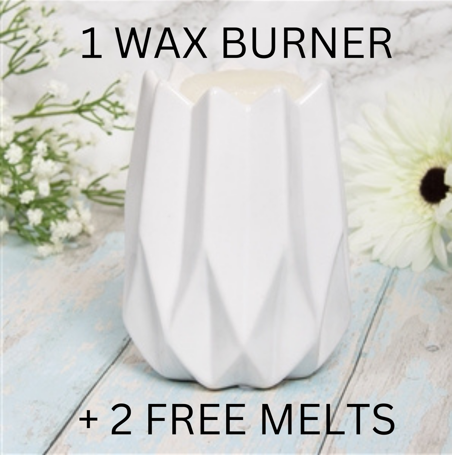 Fiver Wax Warmer Mystery Bundle